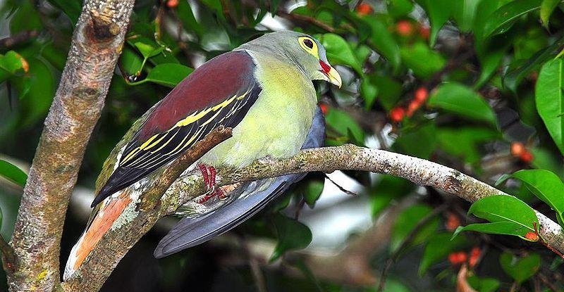 ��������ͼƬ