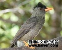 ����̽���