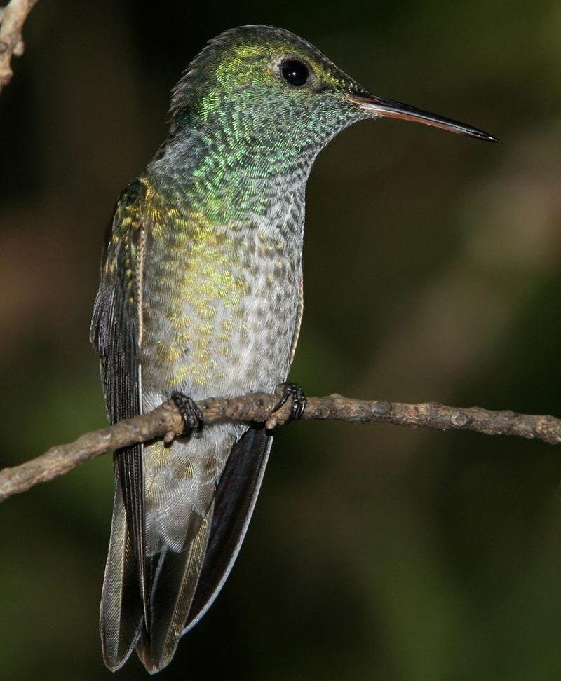 ��ʷ����ͼƬ