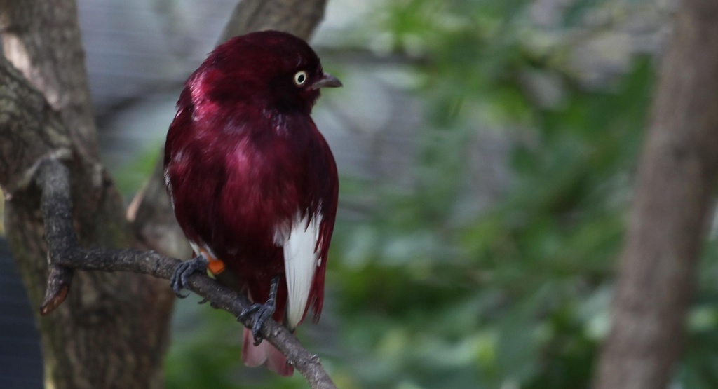 �׳���ɡ���ͼƬ