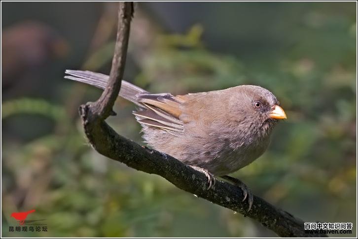 ����ѻȸ��ͼƬ