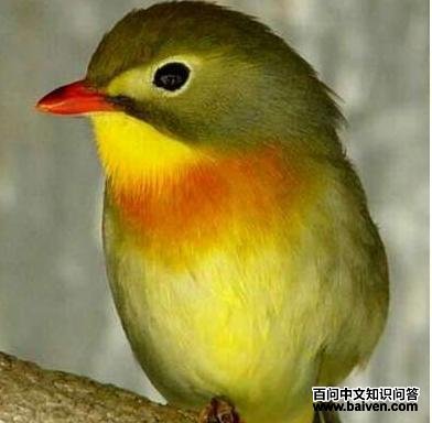 ������˼��