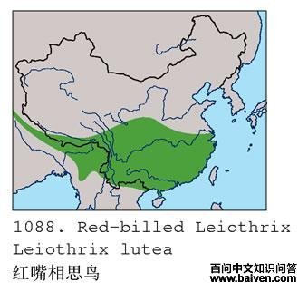 ������˼��