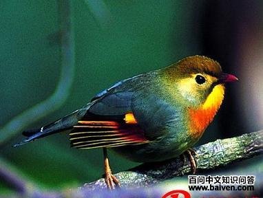 ������˼��