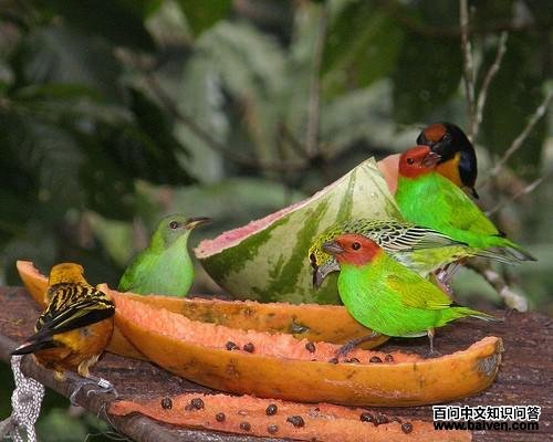 ��������ȸ