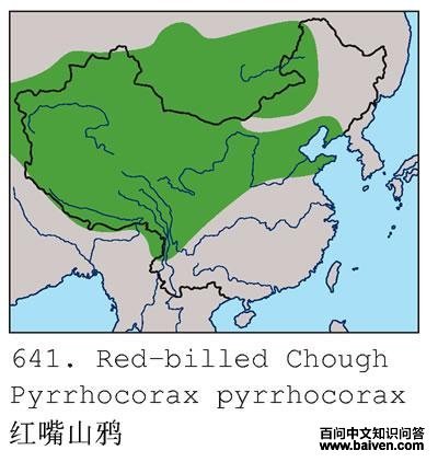 ����ɽѻ�����ֲ�ͼ