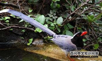 ������ȵ