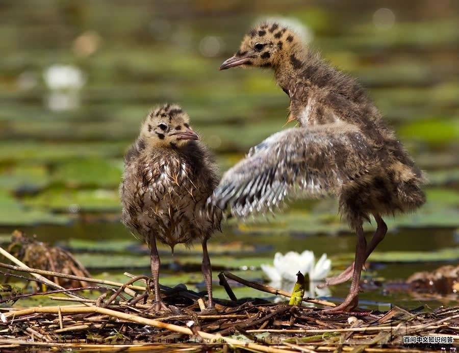 ����Ÿ������