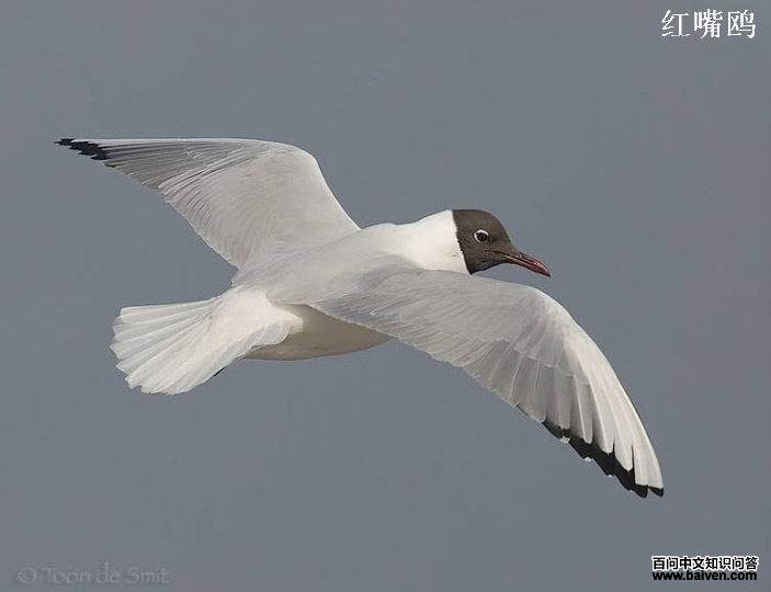 ����Ÿ��������û�аװ�