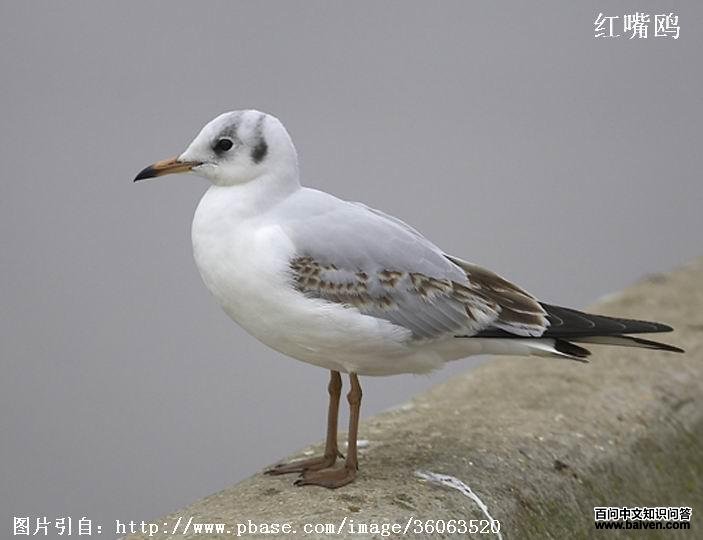 ����Ÿ�ǳ���