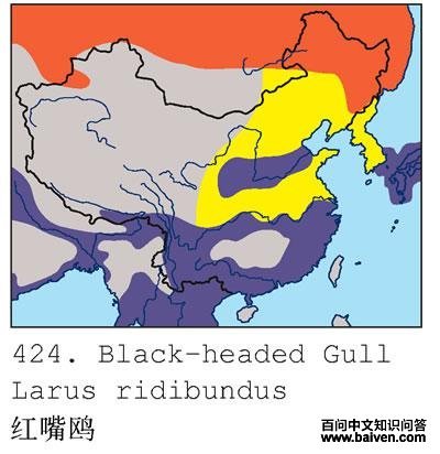 ����Ÿ�������ֲ�ͼ