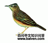 ���ϸ�����ͼƬ