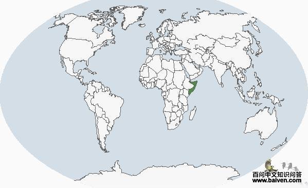 ���ϸ����