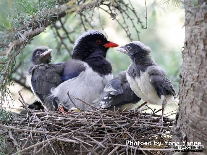 ������ȵ�����ĺ�����