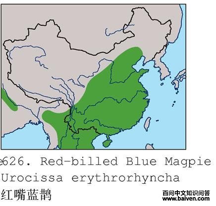 ������ȵ