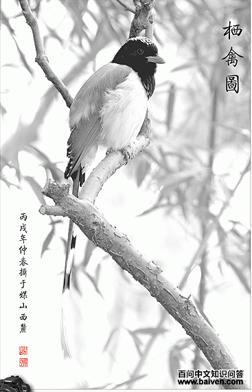 ������ȵ