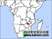 �׳�٪����