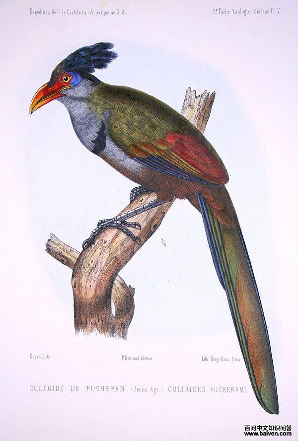 ���켦���ͼƬ