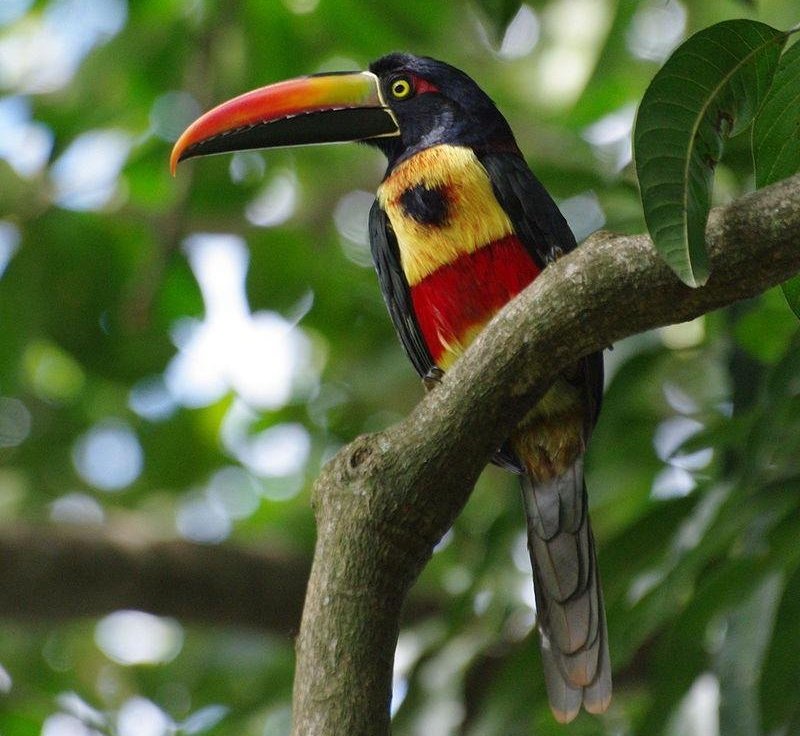 �������������ͼƬ