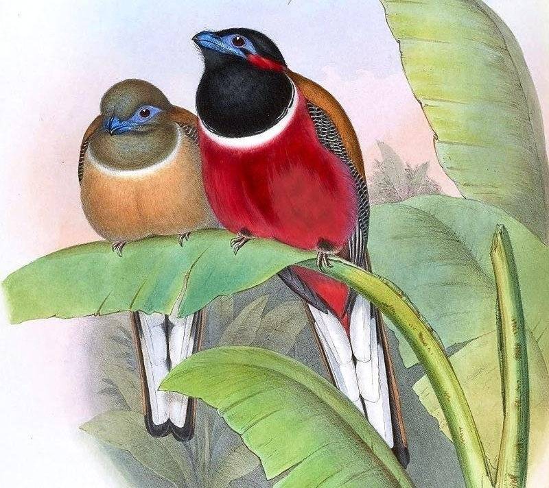 ����ҧ���ͼƬ