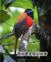 ����ҧ��