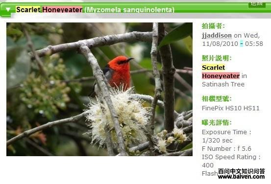 �����������ͼƬ