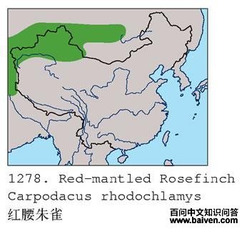 ������ȸ