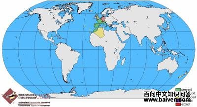 ����ʯ���������ֲ�ͼ