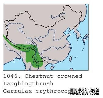 ��ͷ����