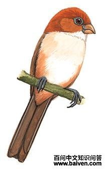 ��ͷѻȸ����̬����ͼ