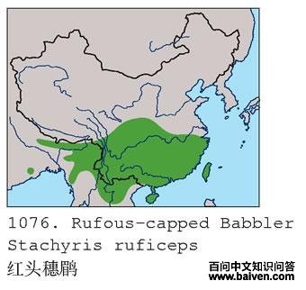 ��ͷ���̣������ֲ�ͼ