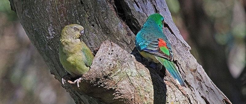 �������ģ��������