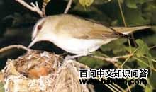 �����̾��ͼƬ