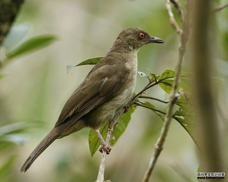 �����ǵ�ͼƬ