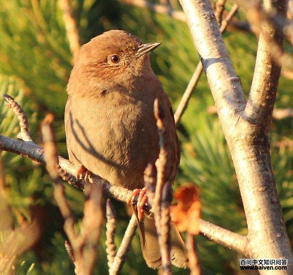 �����ҵ�ͼƬ