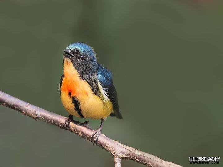 �����Ļ�����Ӱ������