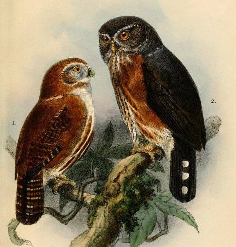 ������m��ͼƬ