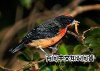 ����ȸ��