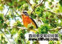 ����ȸ��