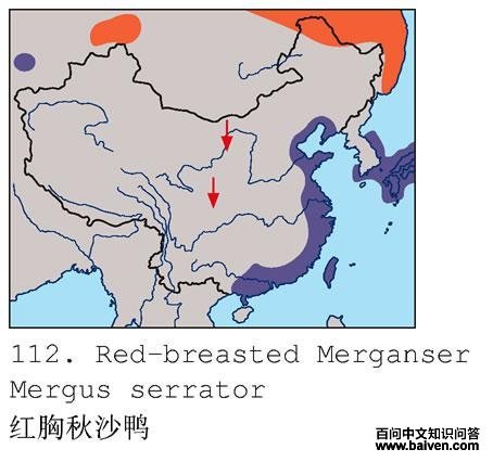 ������ɳѼ�������ֲ�ͼ