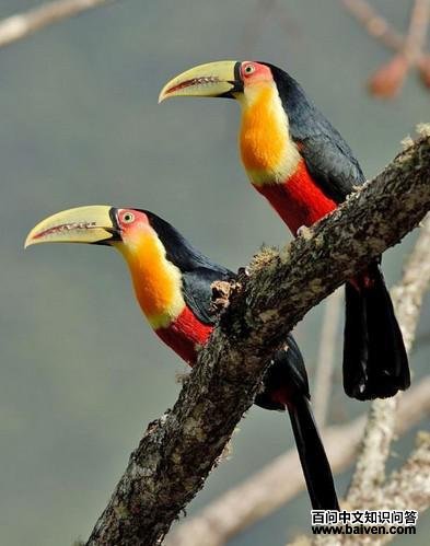 ���ؾ�����