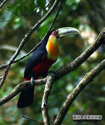 ���ؾ�����