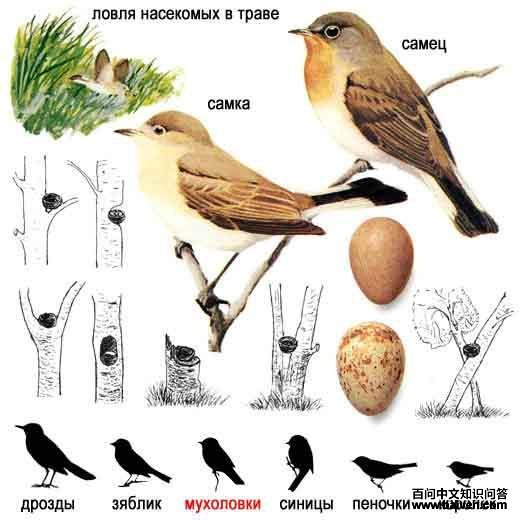 ���ؼ��l����̬����ͼ