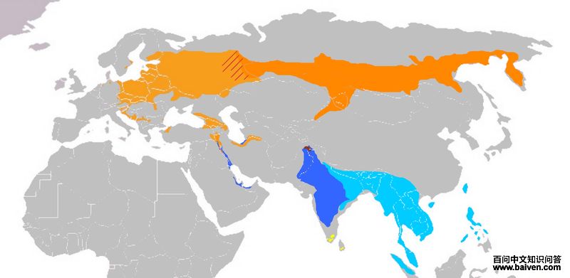 ���ؼ��l�������ֲ�ͼ