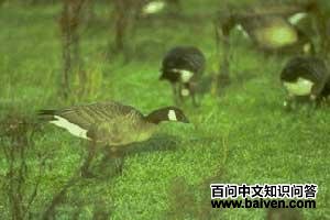 ���غ���