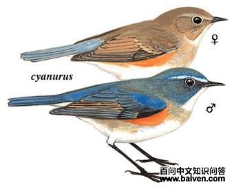 ��в��β𶣺��̬����ͼ