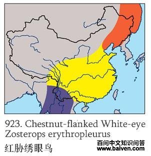 ��в������