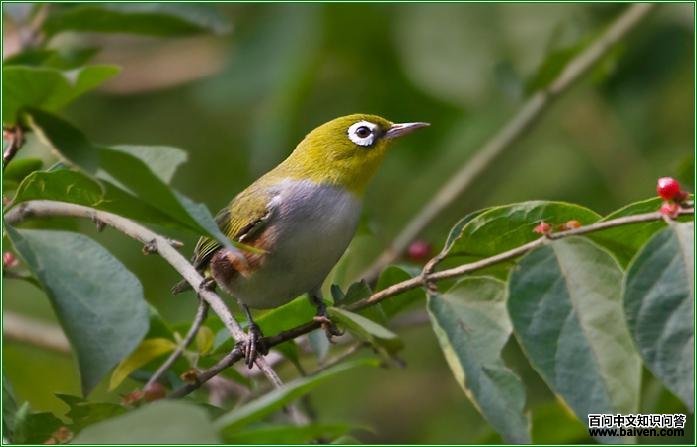 ��в������