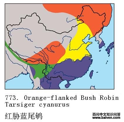 ��в��β𶣺�����ֲ�ͼ