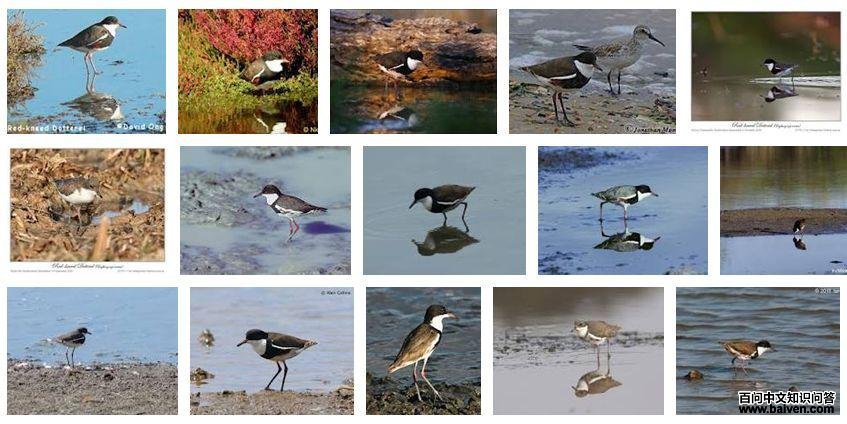 ��ϥ�a����ͼƬ